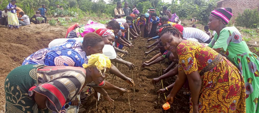 Women making a joint seed bed